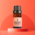 Load image into Gallery viewer, Rosemary Essential Oil • Rosmarinus officinalis