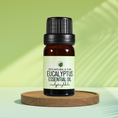 Load image into Gallery viewer, Eucalyptus Essential Oil • Eucalyptus globulus
