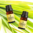 Load image into Gallery viewer, Lemongrass Essential Oil • Cymbopogon flexuosus