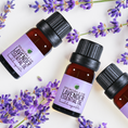 Load image into Gallery viewer, Bulgarian Lavender Essential Oil • Lavandula angustifolia