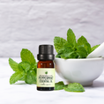 Load image into Gallery viewer, Peppermint Essential Oil • Mentha × piperita