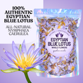 Load image into Gallery viewer, Packaged Egyptian Blue Lotus flowers with a flower on a purple background
