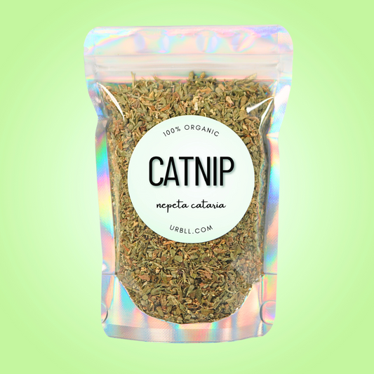 Catnip • Organic