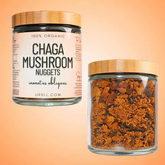 Chaga Mushroom Nuggets
