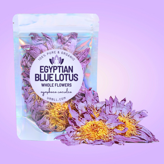 Egyptian Blue Lotus Whole Flowers