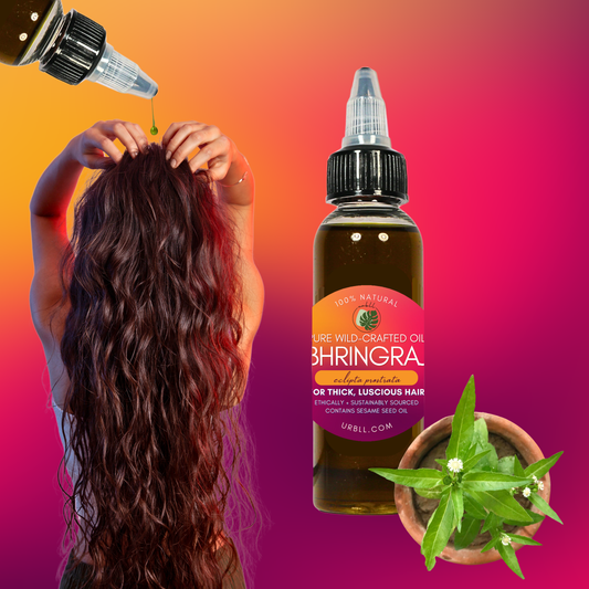 Bhringraj Oil for Thick, Luscious Hair • Wild-Harvested