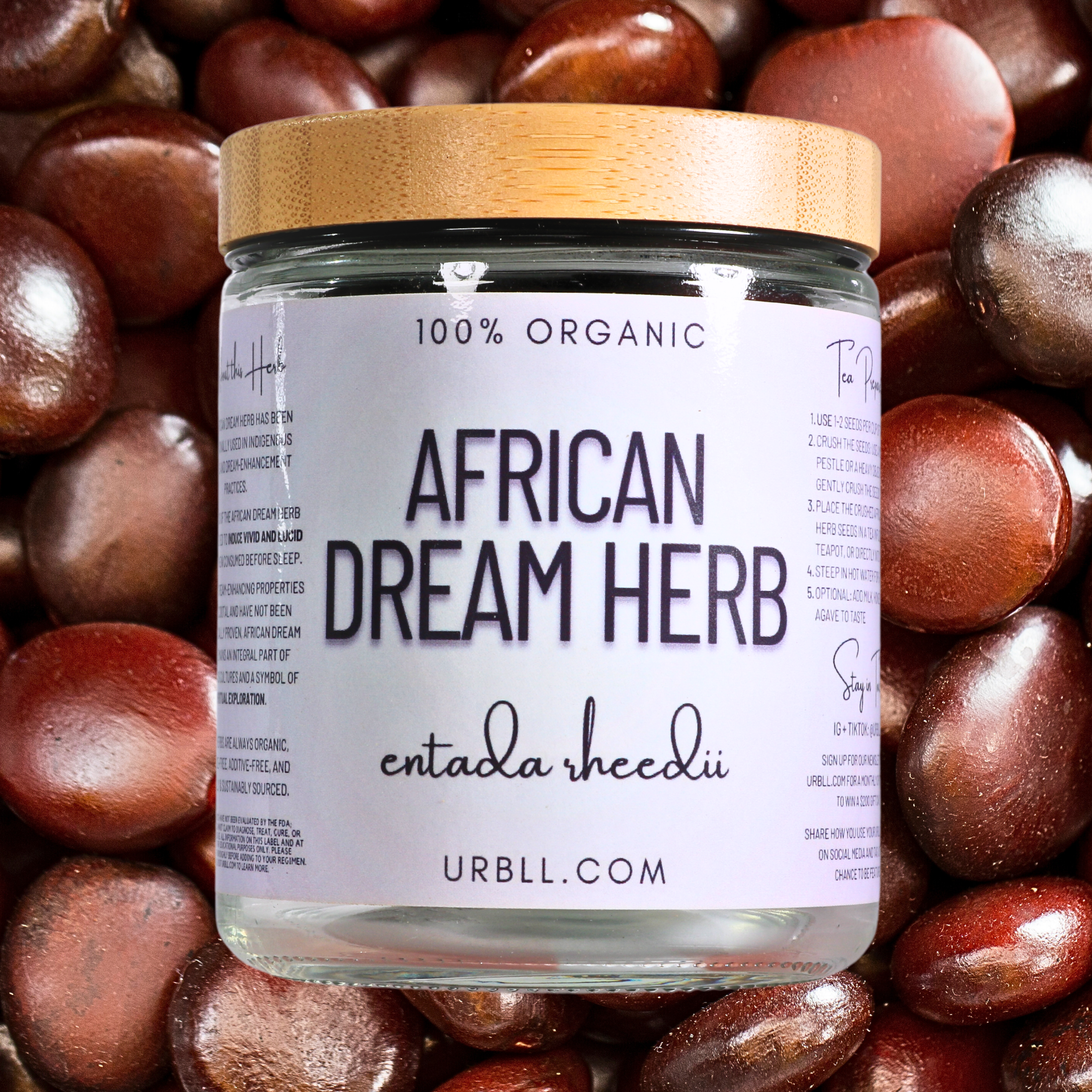 African Dream Seed • 4-5 Whole Seeds in Glass Jar • 100% Organic African Dream Bean • Entada rheedii