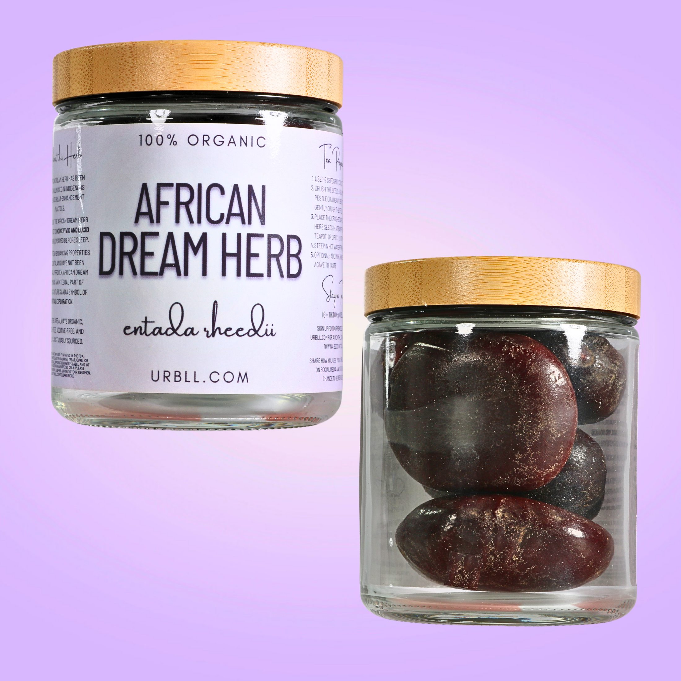 African Dream Seed • 4-5 Whole Seeds in Glass Jar • 100% Organic African Dream Bean • Entada rheedii