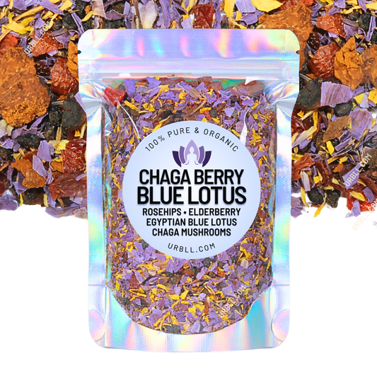Chaga Berry Blue Lotus • Enhanced Lotus Blend