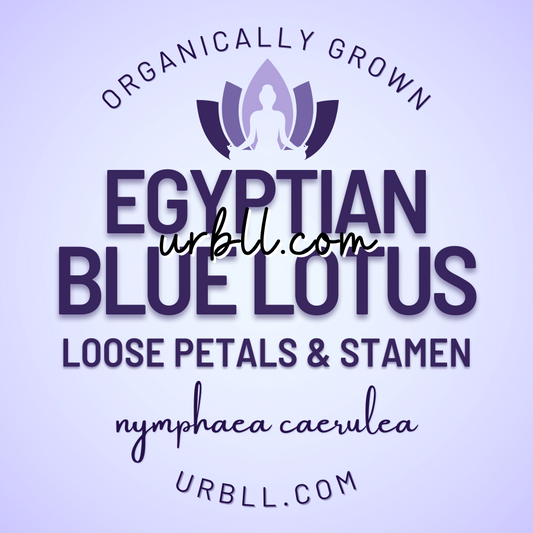 Bulk Egyptian Blue Lotus Loose Petals + Stamen - 1KG