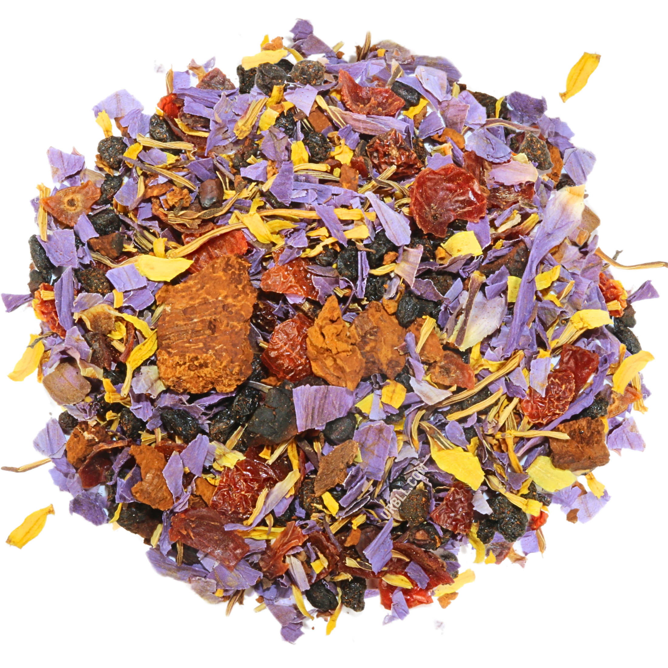 Chaga Berry Blue Lotus • Enhanced Lotus Blend