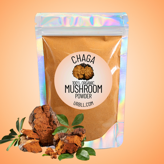 Chaga Mushroom Powder • Organic