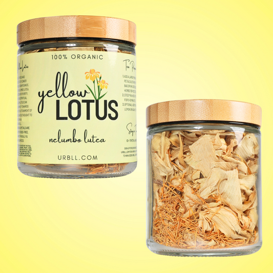 Yellow Lotus - Organic