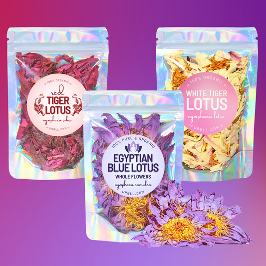 SAMPLER • Organic Lotus Whole Flower Trio