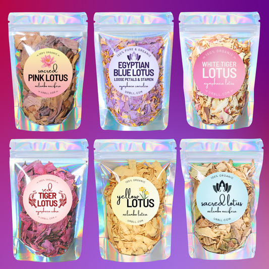 BUNDLE • 6 LOTUS PETALS + STAMEN • Premium Organic Lotus Variety Sampler