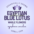 Load image into Gallery viewer, Bulk Egyptian Blue Lotus Whole Flowers - 1KG
