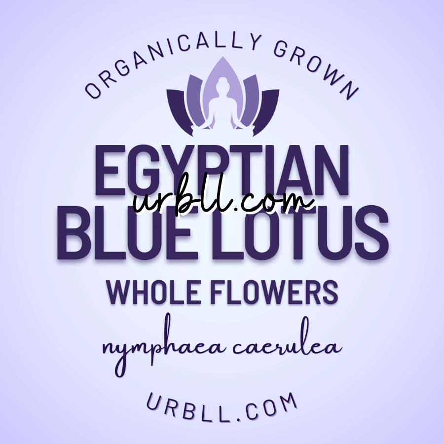Bulk Egyptian Blue Lotus Whole Flowers - 1KG