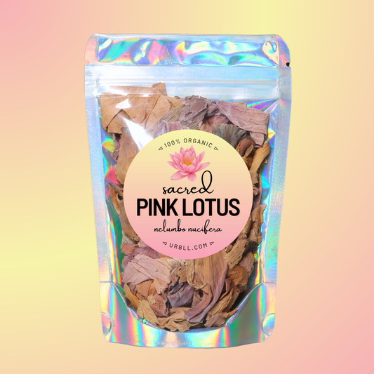 Sacred Pink Lotus - Organic