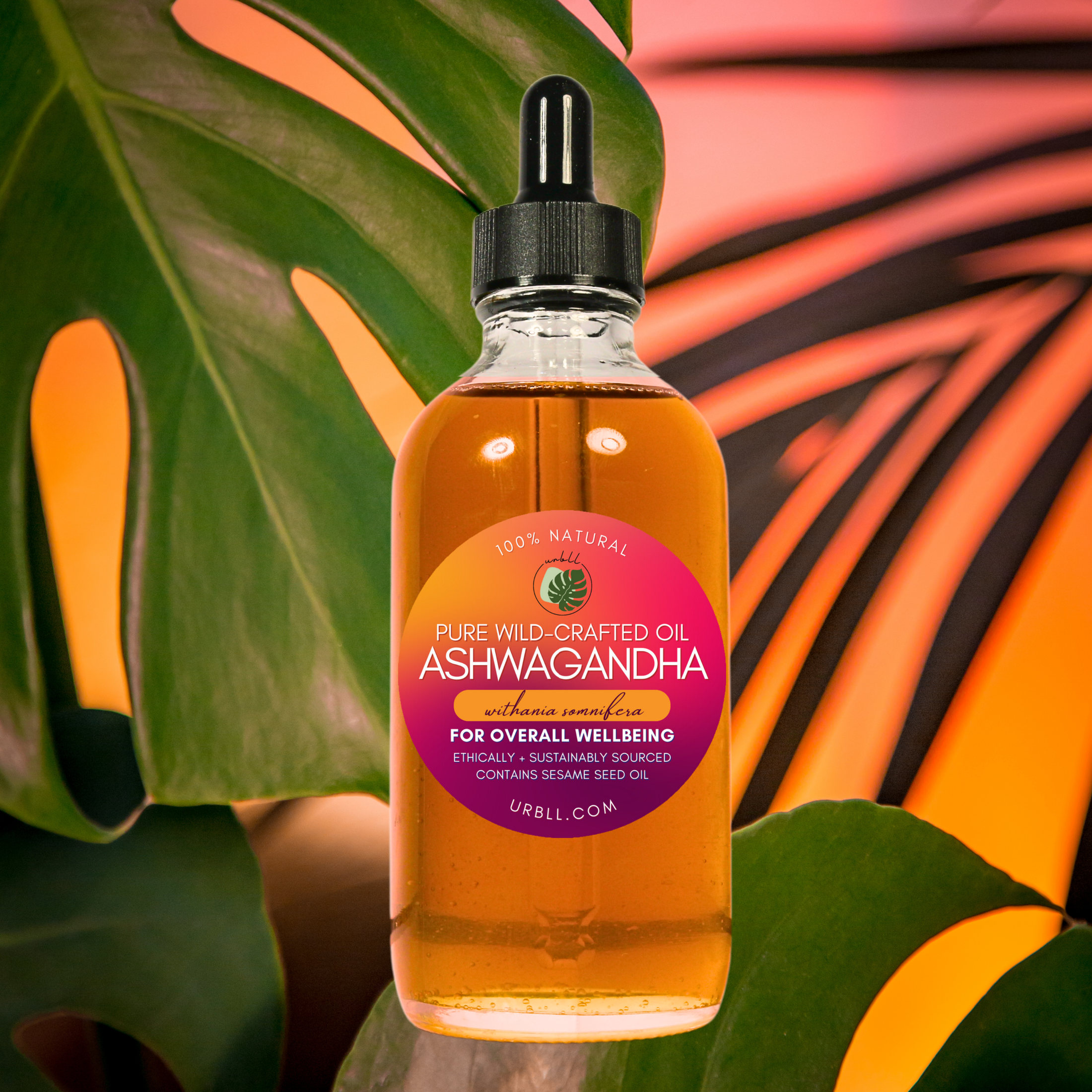 Organic Ashwagandha Oil • Wild-Harvested