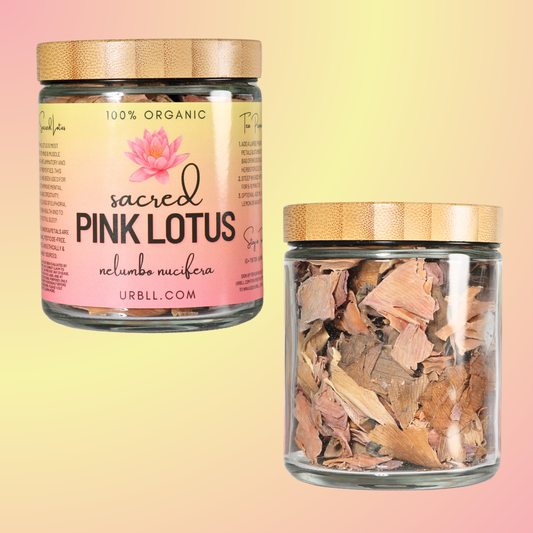 Sacred Pink Lotus - Organic