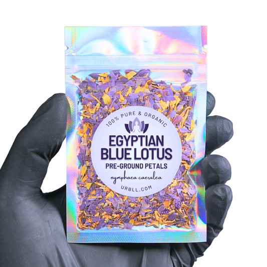 Egyptian Blue Lotus • Pre-Ground