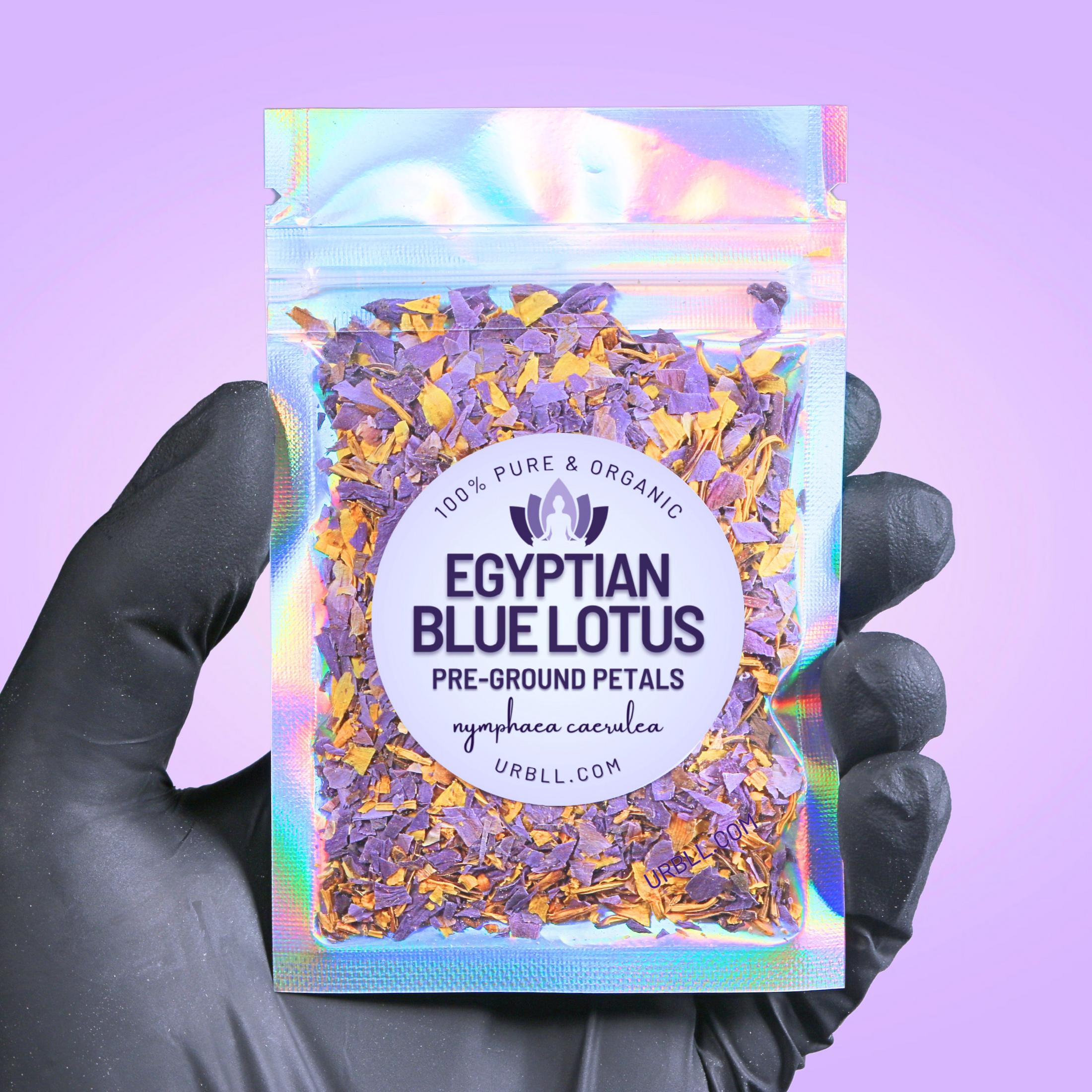 Egyptian Blue Lotus • Pre-Ground