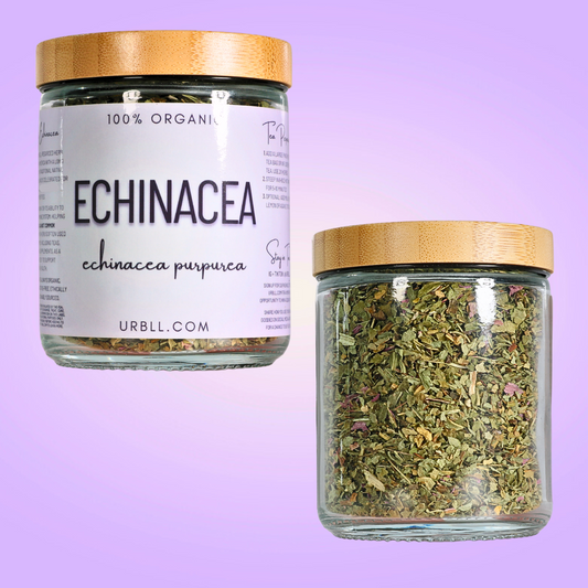 Echinacea Herb - Organic