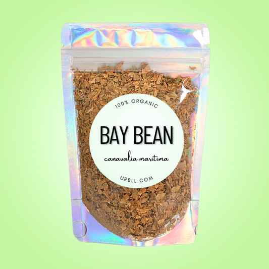 Bay Bean - Organic