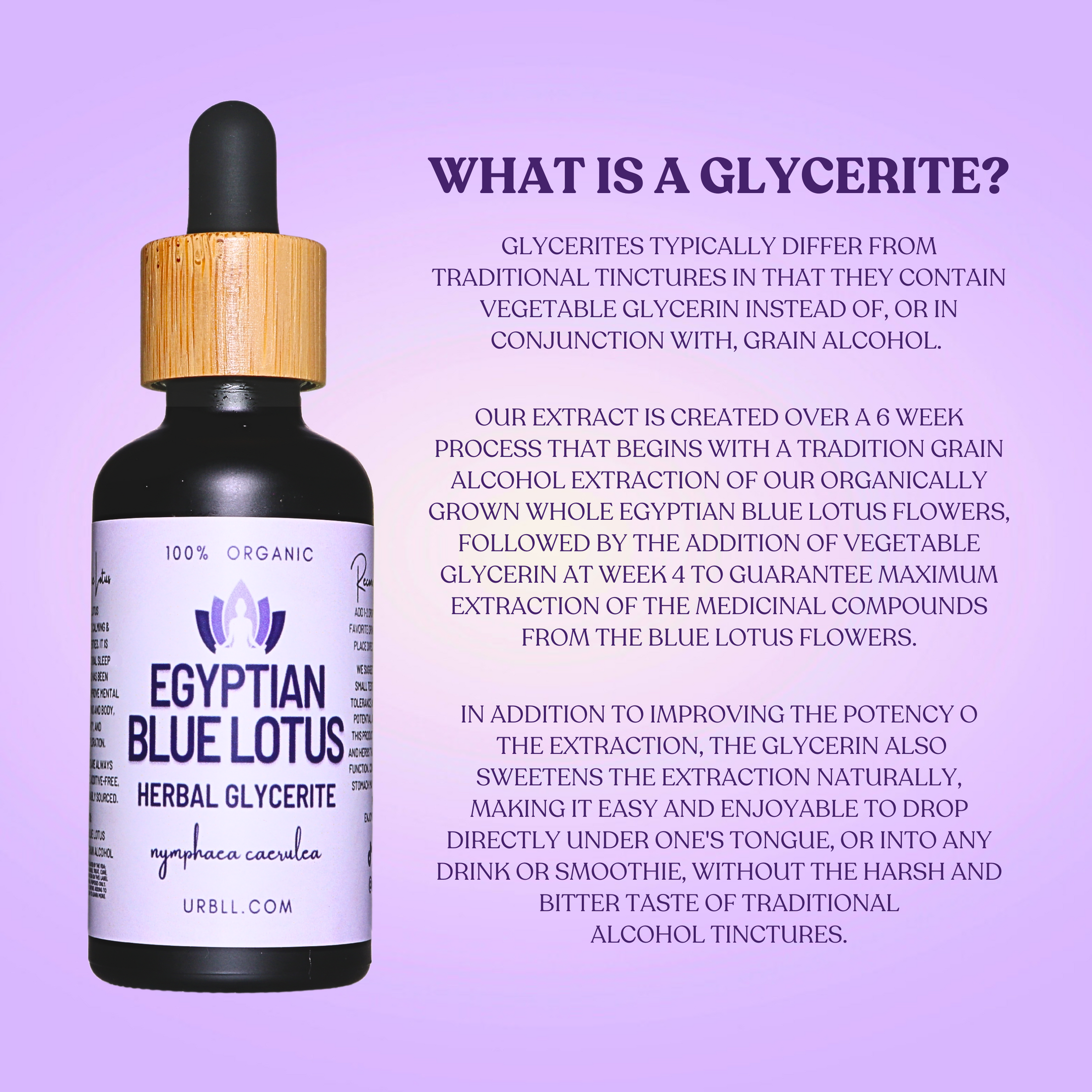 Egyptian Blue Lotus Glycerite