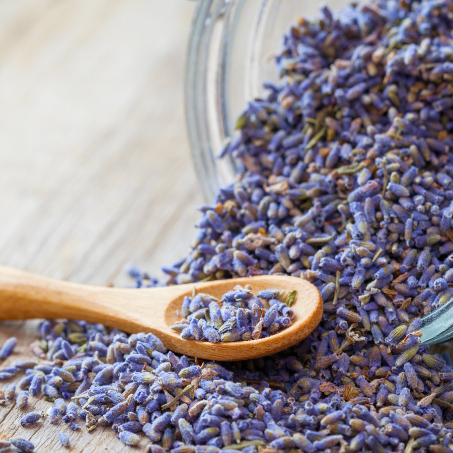 Premium Lavender Buds - Organic