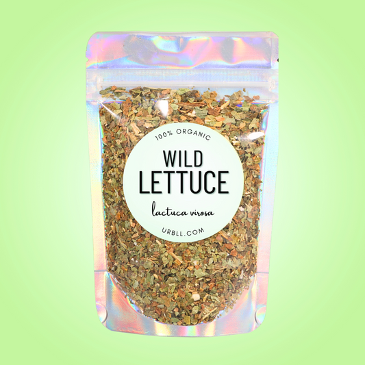 Wild Lettuce - Organic