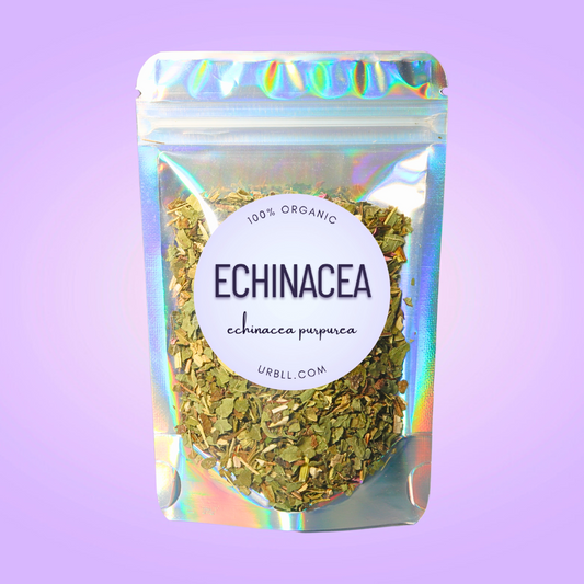 Echinacea Herb - Organic