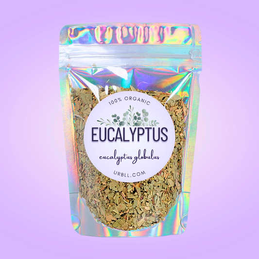 Eucalyptus - Organic