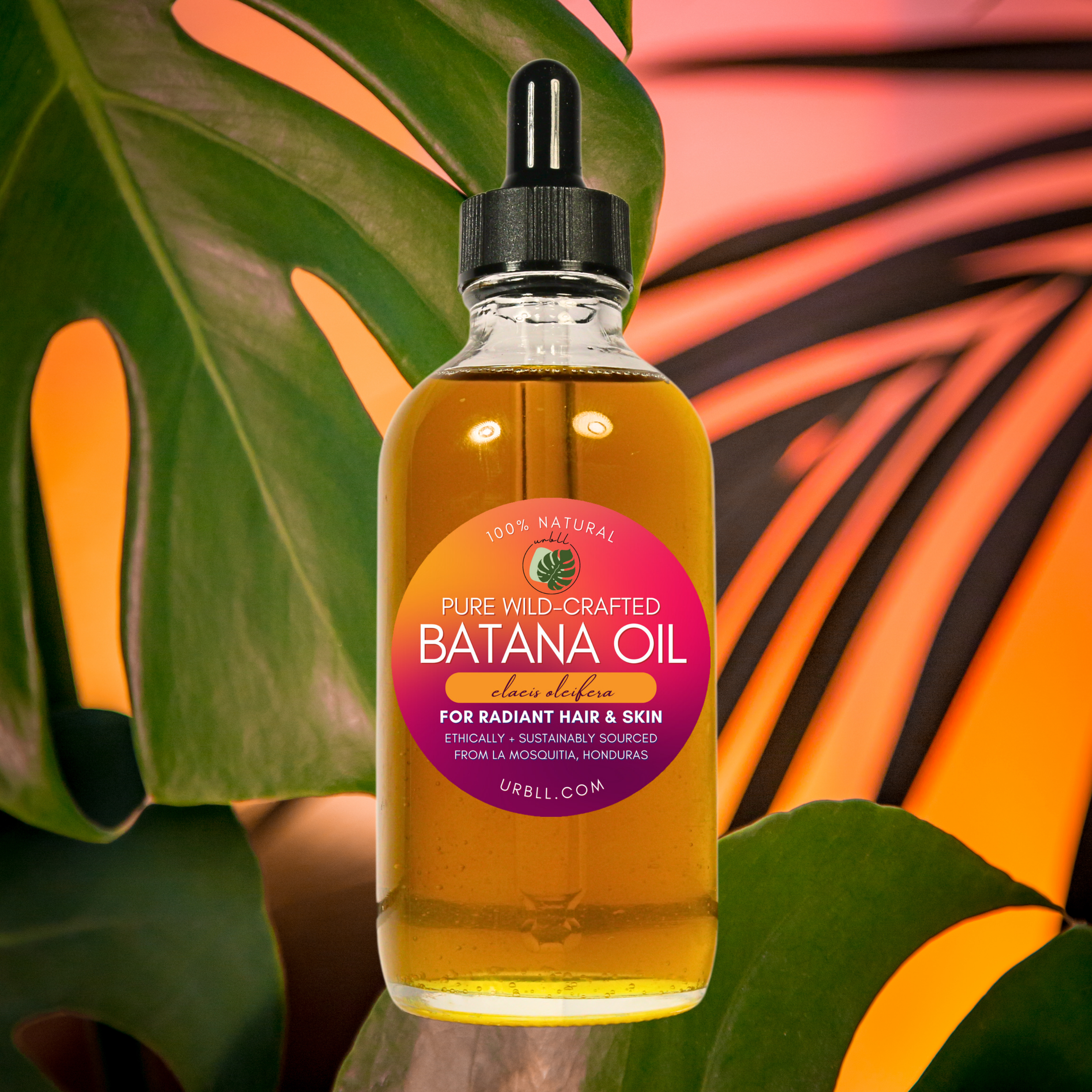 100% Pure Batana Oil • Fractionated, Wild-Harvested, Non-GMO