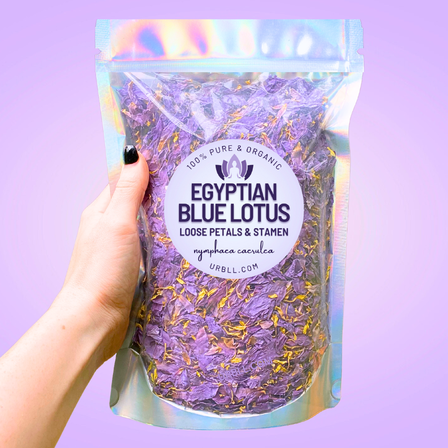 Egyptian Blue Lotus Petals • 1KG-5KG BULK