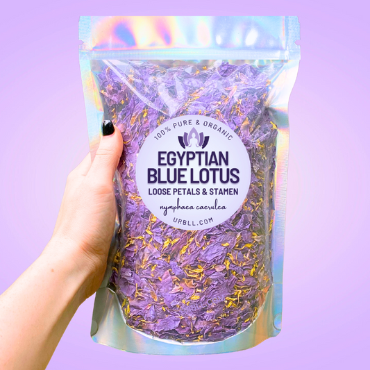 Egyptian Blue Lotus Petals • 1KG BULK