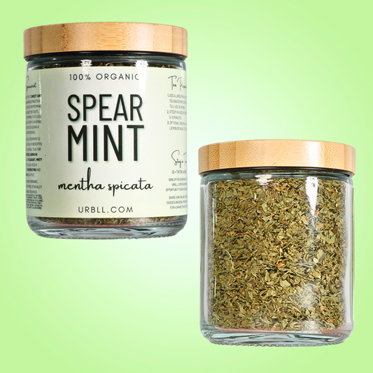 Spearmint - Organic