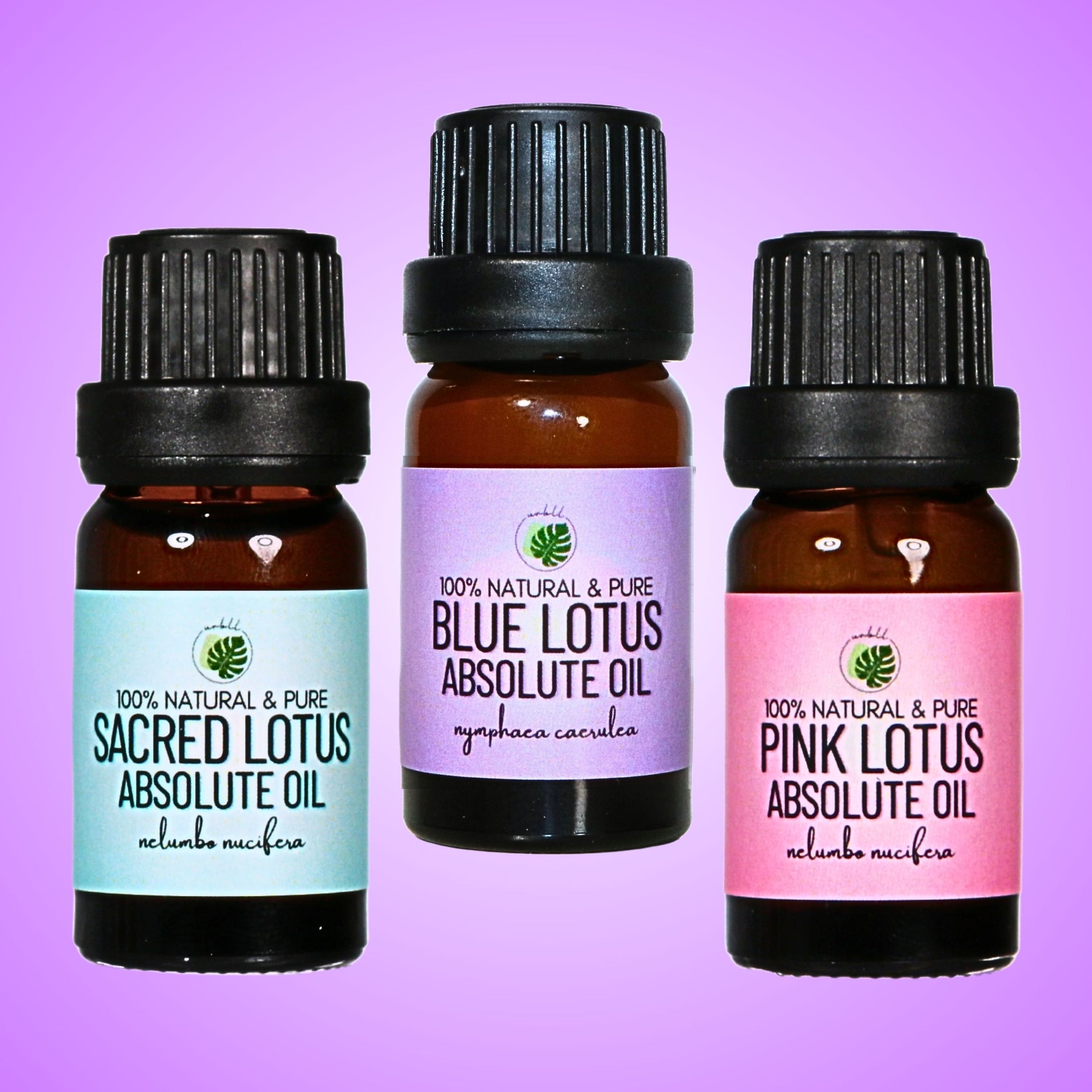 Egyptian Blue Lotus Absolute Oil • Nymphaea caerulea