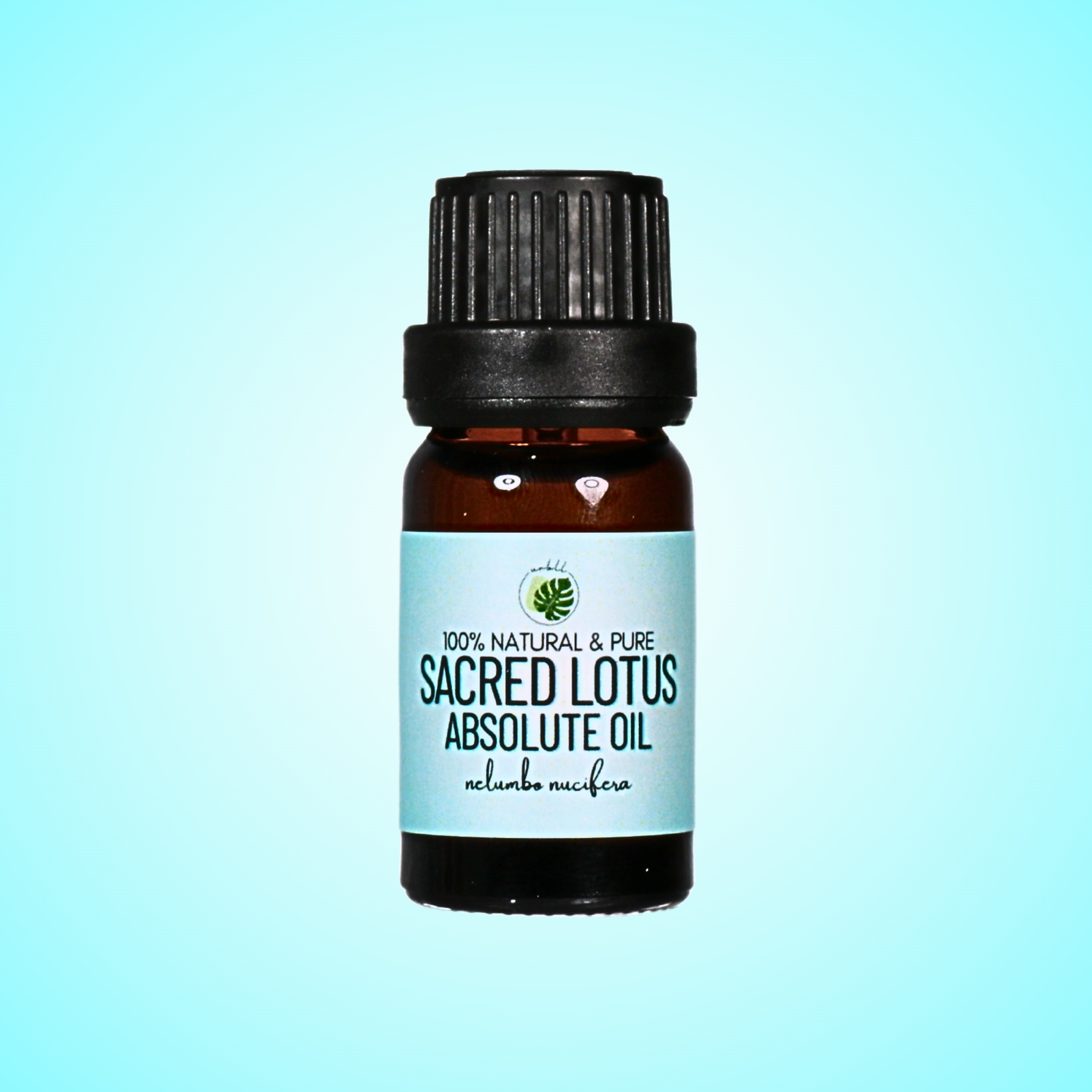 Sacred Lotus Absolute Oil • Nelumbo nucifera