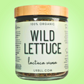 Load image into Gallery viewer, Wild Lettuce • Organic
