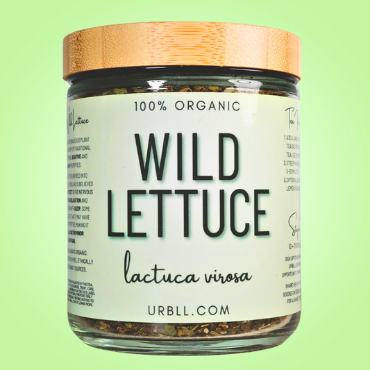 Wild Lettuce • Organic