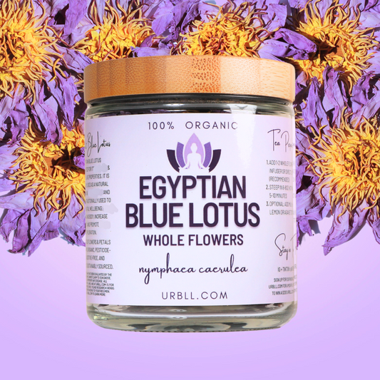 Egyptian Blue Lotus Whole Flowers in Glass Jar