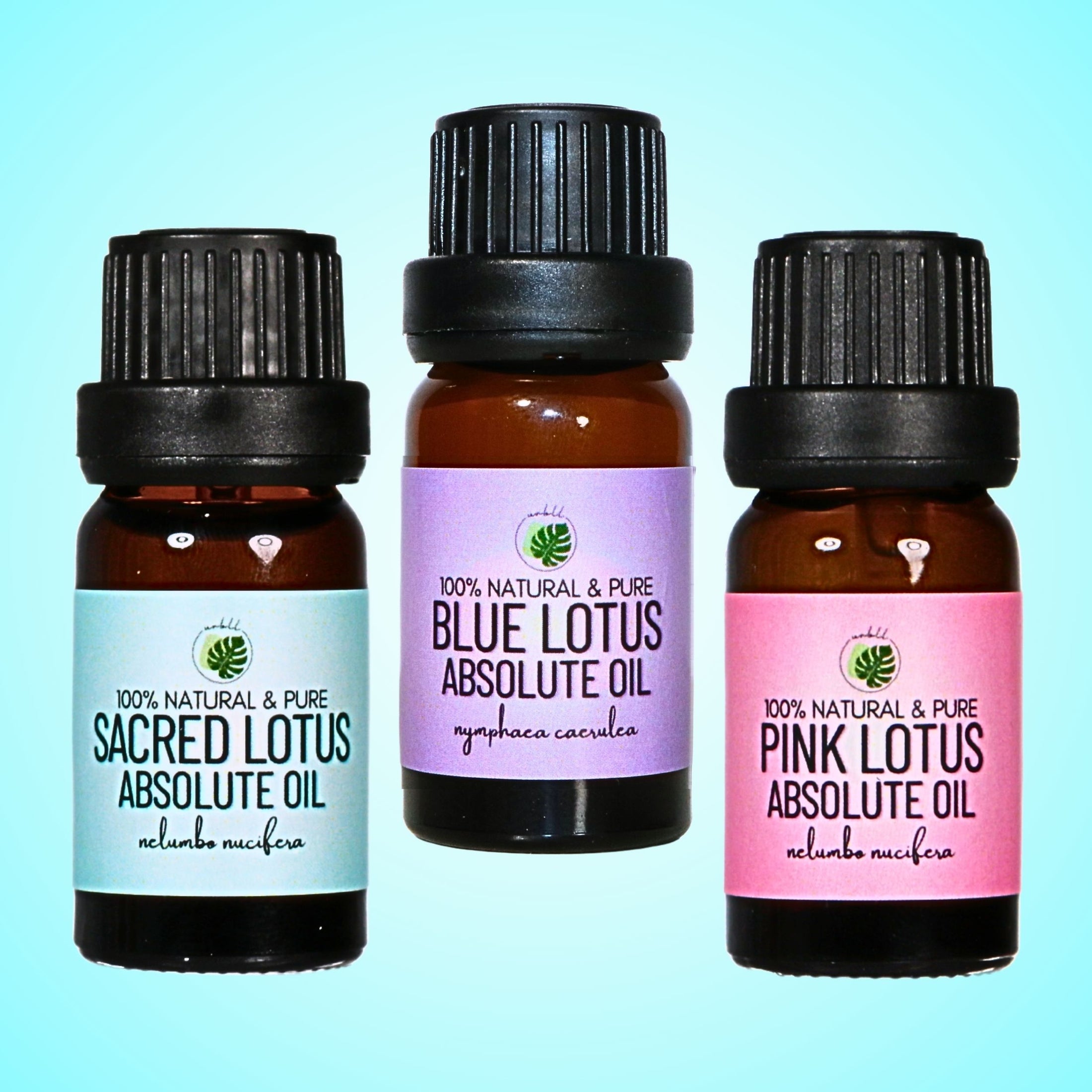 Sacred Lotus Absolute Oil • Nelumbo nucifera