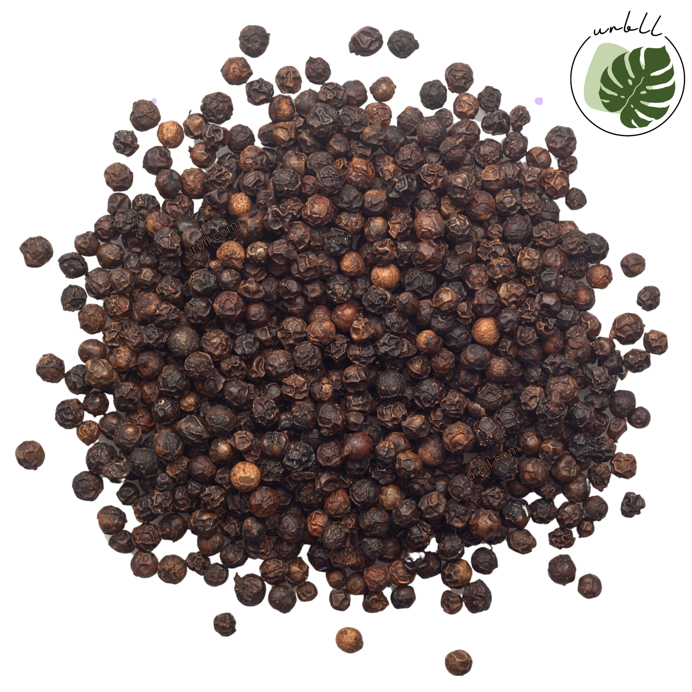 Black Peppercorn • Organic