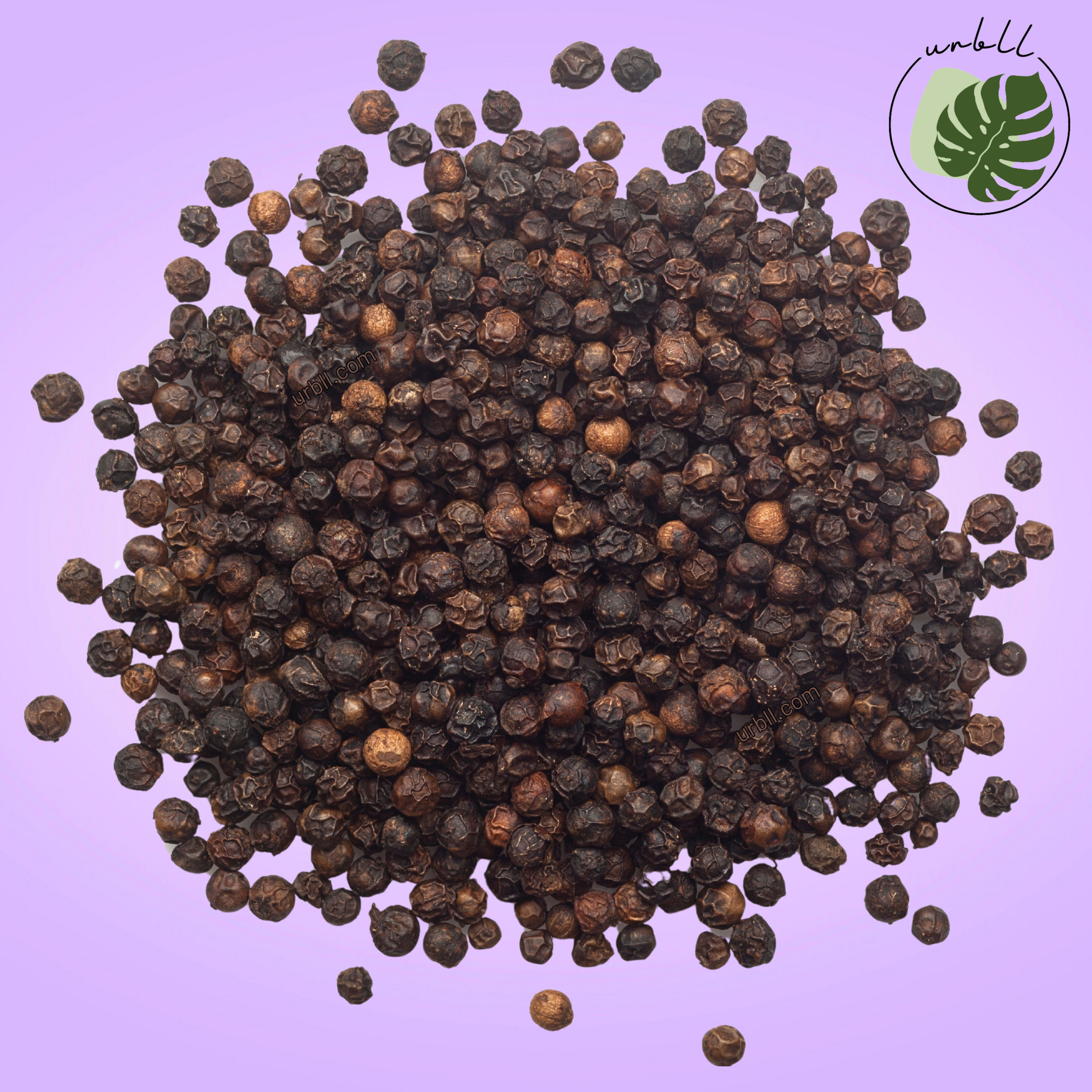 Black Peppercorn • Organic