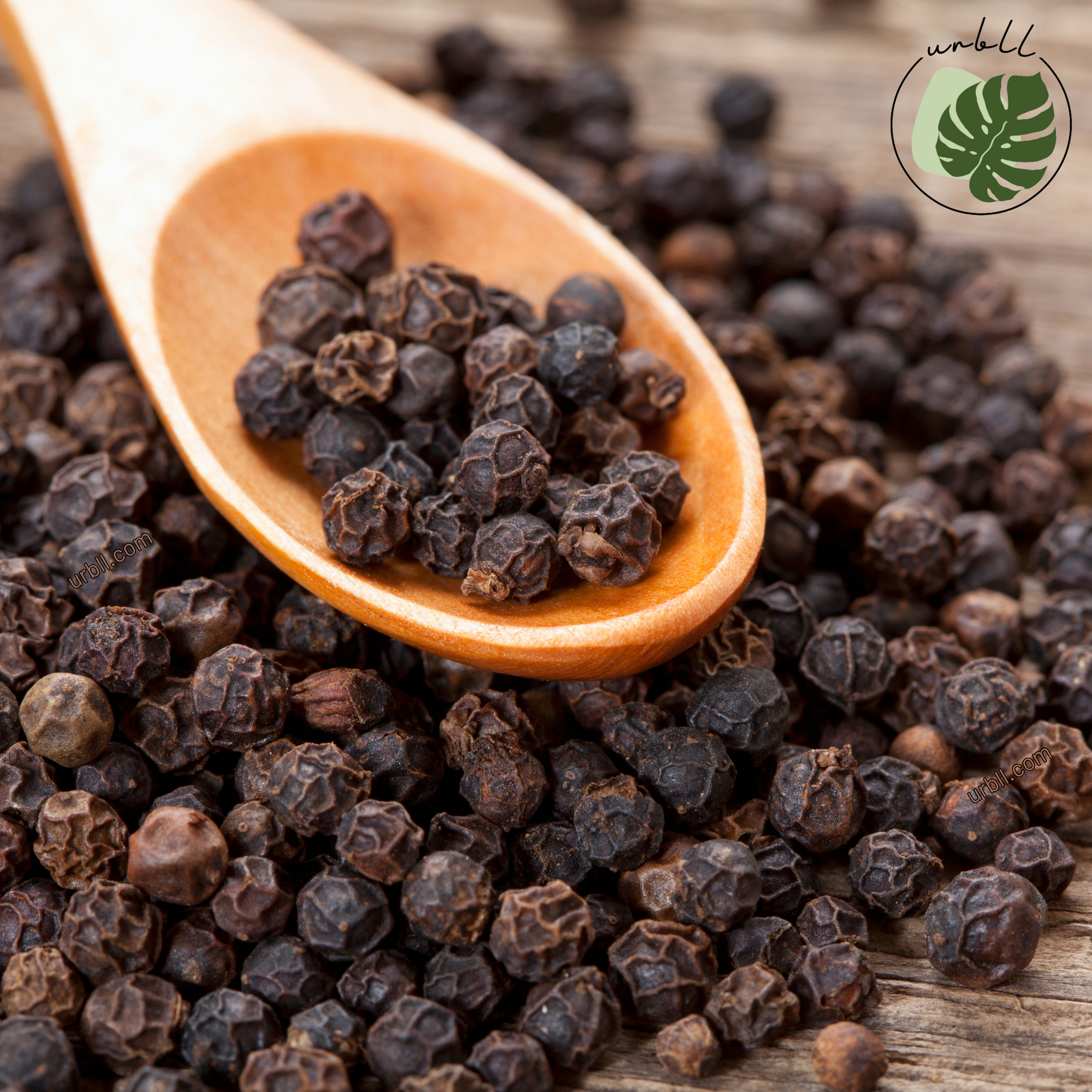 Black Peppercorn • Organic