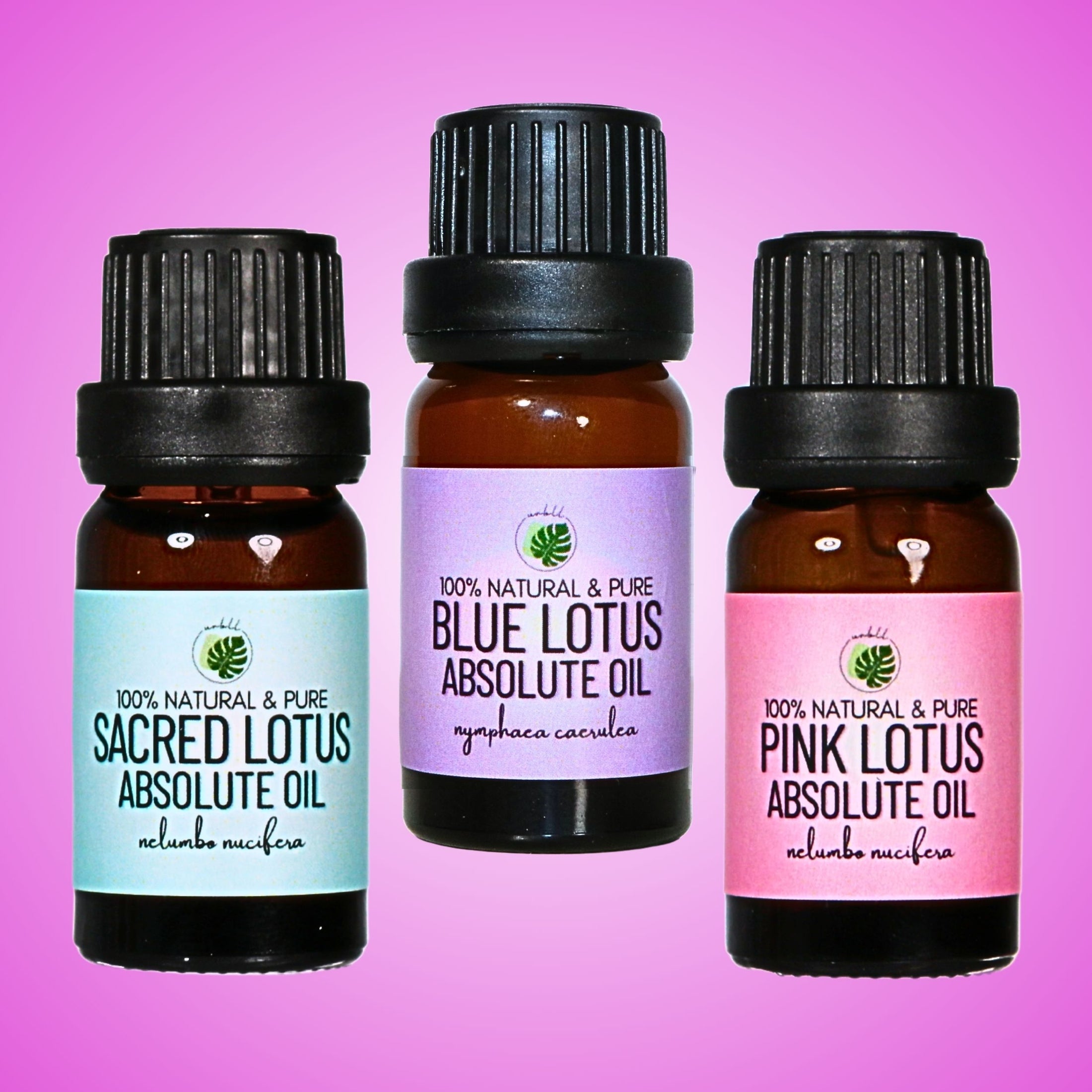 Pink Lotus Absolute Oil • Nelumbo nucifera