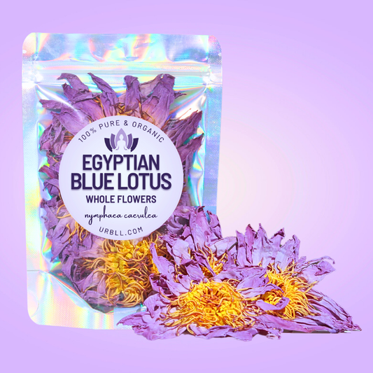 Egyptian Blue Lotus WHOLE FLOWERS • 1KG BULK