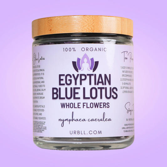 Egyptian Blue Lotus Whole Flower Jar