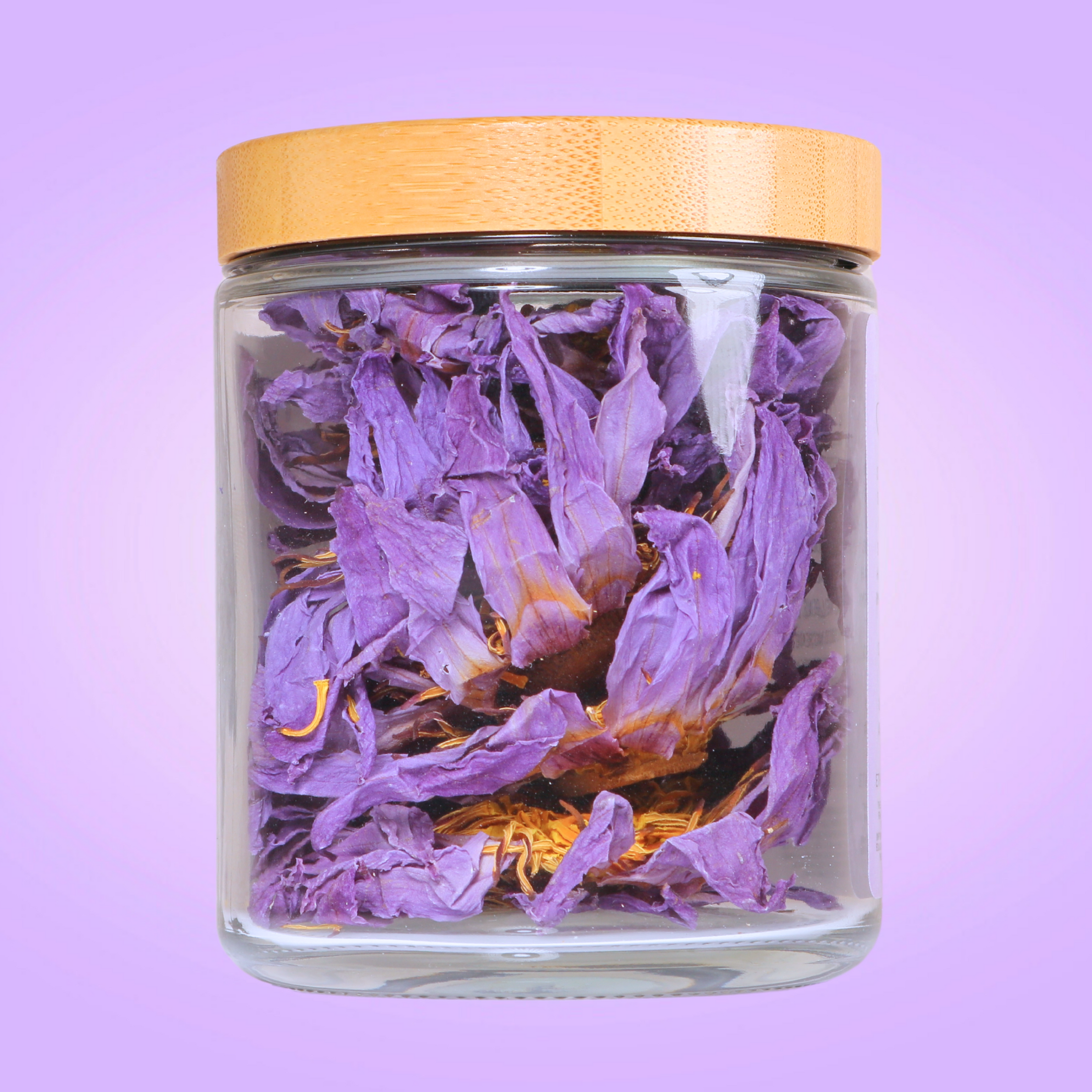 Egyptian Blue Lotus Whole Flowers in Glass Jar